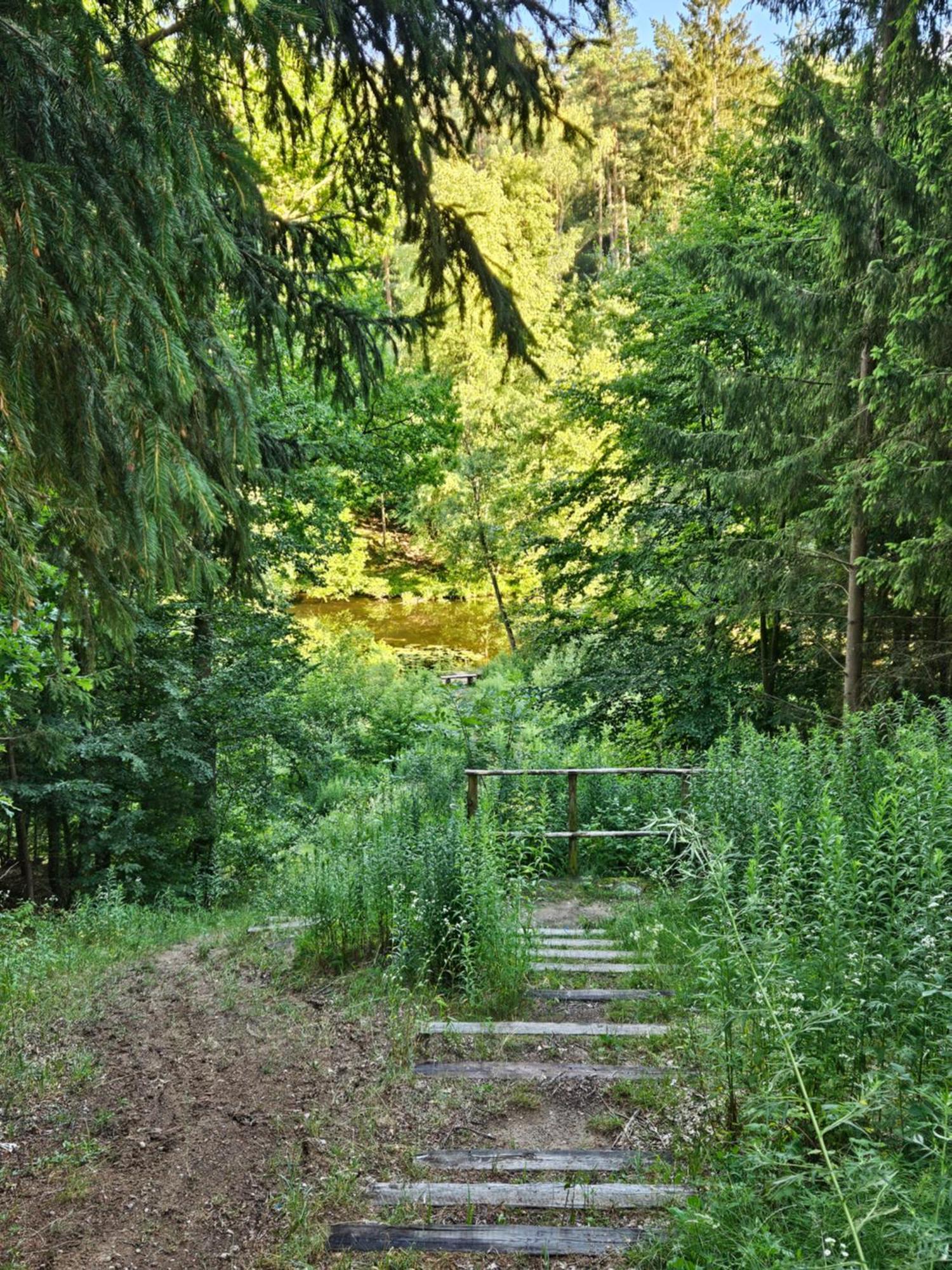 Apartament Oaza Na Sterowcow Appartement Dywity Buitenkant foto